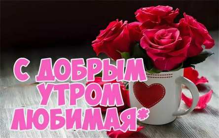 Открытки доброе утро любимая Открытка картинка доброе утро, с добрым утром любимая, милая. Открытка картинка открытки картинки с добрым утром милая, любимая, доброе утро любимая, открытка картинка для любимой с добрым утром, милая, дорогая с добрым утром