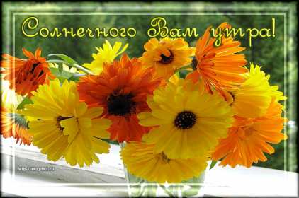 Открытки доброе летнее утро Открытка картинка летнее доброе утро, пожелания доброго утра Открытка открытки картинка картинки с добрым летним утром, красивые пожелания доброго летнего утра, яркие картинки открытки с добрым летним утром скачать бесплатно