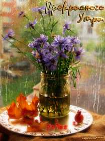 Открытки доброе летнее утро Открытка картинка летнее доброе утро, пожелания доброго утра Открытка открытки картинка картинки с добрым летним утром, красивые пожелания доброго летнего утра, яркие картинки открытки с добрым летним утром скачать бесплатно