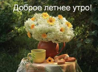 Открытки доброе летнее утро Открытка картинка летнее доброе утро, пожелания доброго утра Открытка открытки картинка картинки с добрым летним утром, красивые пожелания доброго летнего утра, яркие картинки открытки с добрым летним утром скачать бесплатно