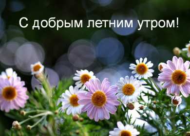 Открытки доброе летнее утро Открытка картинка летнее доброе утро, пожелания доброго утра Открытка открытки картинка картинки с добрым летним утром, красивые пожелания доброго летнего утра, яркие картинки открытки с добрым летним утром скачать бесплатно