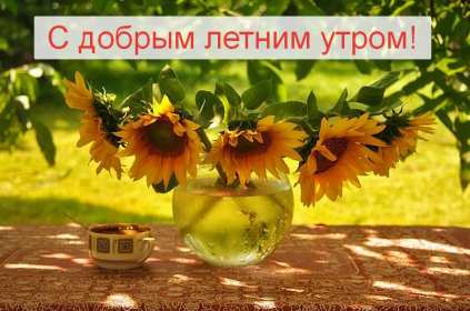 Открытки доброе летнее утро Открытка картинка летнее доброе утро, пожелания доброго утра Открытка открытки картинка картинки с добрым летним утром, красивые пожелания доброго летнего утра, яркие картинки открытки с добрым летним утром скачать бесплатно