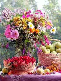 Открытки доброе летнее утро Открытка картинка летнее доброе утро, пожелания доброго утра Открытка открытки картинка картинки с добрым летним утром, красивые пожелания доброго летнего утра, яркие картинки открытки с добрым летним утром скачать бесплатно