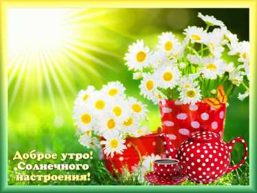Открытки доброе летнее утро Открытка картинка летнее доброе утро, пожелания доброго утра Открытка открытки картинка картинки с добрым летним утром, красивые пожелания доброго летнего утра, яркие картинки открытки с добрым летним утром скачать бесплатно