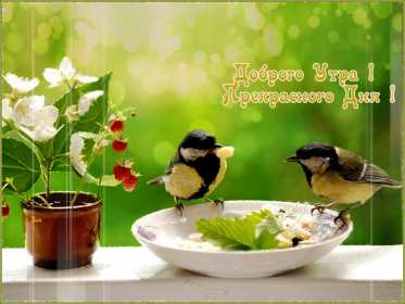 Открытки доброе летнее утро Открытка картинка летнее доброе утро, пожелания доброго утра Открытка открытки картинка картинки с добрым летним утром, красивые пожелания доброго летнего утра, яркие картинки открытки с добрым летним утром скачать бесплатно