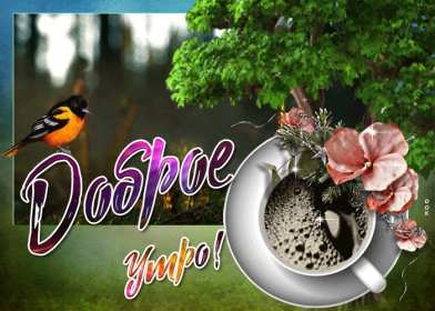 Открытки доброе летнее утро Открытка картинка летнее доброе утро, пожелания доброго утра Открытка открытки картинка картинки с добрым летним утром, красивые пожелания доброго летнего утра, яркие картинки открытки с добрым летним утром скачать бесплатно