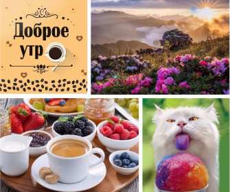 Открытки доброе летнее утро Открытка картинка летнее доброе утро, пожелания доброго утра Открытка открытки картинка картинки с добрым летним утром, красивые пожелания доброго летнего утра, яркие картинки открытки с добрым летним утром скачать бесплатно
