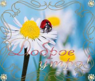 Открытки доброе летнее утро Открытка картинка летнее доброе утро, пожелания доброго утра Открытка открытки картинка картинки с добрым летним утром, красивые пожелания доброго летнего утра, яркие картинки открытки с добрым летним утром скачать бесплатно