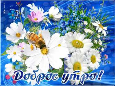 Открытки доброе летнее утро Открытка картинка летнее доброе утро, пожелания доброго утра Открытка открытки картинка картинки с добрым летним утром, красивые пожелания доброго летнего утра, яркие картинки открытки с добрым летним утром скачать бесплатно