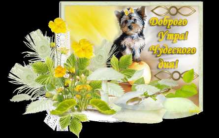 Открытки доброе летнее утро Открытка картинка летнее доброе утро, пожелания доброго утра Открытка открытки картинка картинки с добрым летним утром, красивые пожелания доброго летнего утра, яркие картинки открытки с добрым летним утром скачать бесплатно