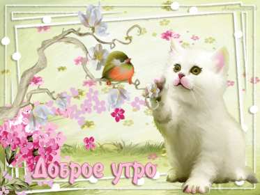 Открытки доброе весеннее утро Открытка картинка с добрым весенним утром, доброго весеннего утра Открытка открытки картинка картинки доброе весеннее утро, с добрым весенним утром, открытка картинка пожелания доброго весеннего утра, доброе утро весна скачать .