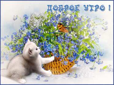 Открытки доброе весеннее утро Открытка картинка с добрым весенним утром, доброго весеннего утра Открытка открытки картинка картинки доброе весеннее утро, с добрым весенним утром, открытка картинка пожелания доброго весеннего утра, доброе утро весна скачать .