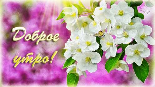 Открытки доброе весеннее утро Открытка картинка с добрым весенним утром, доброго весеннего утра Открытка открытки картинка картинки доброе весеннее утро, с добрым весенним утром, открытка картинка пожелания доброго весеннего утра, доброе утро весна скачать .