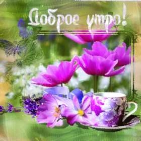 Открытки доброе весеннее утро Открытка картинка с добрым весенним утром, доброго весеннего утра Открытка открытки картинка картинки доброе весеннее утро, с добрым весенним утром, открытка картинка пожелания доброго весеннего утра, доброе утро весна скачать .