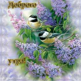 Открытки доброе весеннее утро Открытка картинка с добрым весенним утром, доброго весеннего утра Открытка открытки картинка картинки доброе весеннее утро, с добрым весенним утром, открытка картинка пожелания доброго весеннего утра, доброе утро весна скачать .