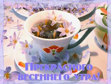 Открытки доброе весеннее утро Открытка картинка с добрым весенним утром, доброго весеннего утра Открытка открытки картинка картинки доброе весеннее утро, с добрым весенним утром, открытка картинка пожелания доброго весеннего утра, доброе утро весна скачать .