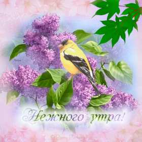 Открытки доброе весеннее утро Открытка картинка с добрым весенним утром, доброго весеннего утра Открытка открытки картинка картинки доброе весеннее утро, с добрым весенним утром, открытка картинка пожелания доброго весеннего утра, доброе утро весна скачать .