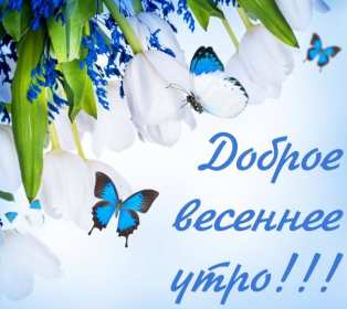 Открытки доброе весеннее утро Открытка картинка с добрым весенним утром, доброго весеннего утра Открытка открытки картинка картинки доброе весеннее утро, с добрым весенним утром, открытка картинка пожелания доброго весеннего утра, доброе утро весна скачать .