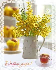 Открытки доброе весеннее утро Открытка картинка с добрым весенним утром, доброго весеннего утра Открытка открытки картинка картинки доброе весеннее утро, с добрым весенним утром, открытка картинка пожелания доброго весеннего утра, доброе утро весна скачать .