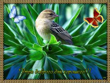 Открытки доброе весеннее утро Открытка картинка с добрым весенним утром, доброго весеннего утра Открытка открытки картинка картинки доброе весеннее утро, с добрым весенним утром, открытка картинка пожелания доброго весеннего утра, доброе утро весна скачать .
