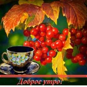 Открытки доброе осеннее утро Открытка картинка с добрым осенним утром, доброго осеннего утра Картинка открытка картинки открытки с пожеланиями доброго осеннего утра, доброе утро осени, осеннее утро доброе, открытка картинка доброе утро осень скачать бесплатно