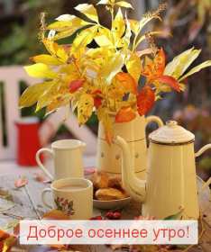 Открытки доброе осеннее утро Открытка картинка с добрым осенним утром, доброго осеннего утра Картинка открытка картинки открытки с пожеланиями доброго осеннего утра, доброе утро осени, осеннее утро доброе, открытка картинка доброе утро осень скачать бесплатно