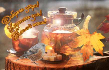 Открытки доброе осеннее утро Открытка картинка с добрым осенним утром, доброго осеннего утра Картинка открытка картинки открытки с пожеланиями доброго осеннего утра, доброе утро осени, осеннее утро доброе, открытка картинка доброе утро осень скачать бесплатно