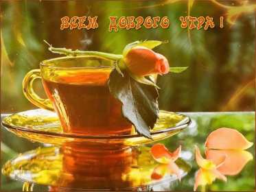 Открытки доброе осеннее утро Открытка картинка с добрым осенним утром, доброго осеннего утра Картинка открытка картинки открытки с пожеланиями доброго осеннего утра, доброе утро осени, осеннее утро доброе, открытка картинка доброе утро осень скачать бесплатно