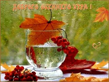 Открытки доброе осеннее утро Открытка картинка с добрым осенним утром, доброго осеннего утра Картинка открытка картинки открытки с пожеланиями доброго осеннего утра, доброе утро осени, осеннее утро доброе, открытка картинка доброе утро осень скачать бесплатно