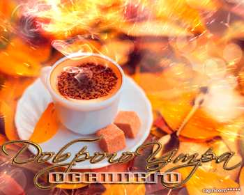 Открытки доброе осеннее утро Открытка картинка с добрым осенним утром, доброго осеннего утра Картинка открытка картинки открытки с пожеланиями доброго осеннего утра, доброе утро осени, осеннее утро доброе, открытка картинка доброе утро осень скачать бесплатно