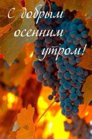 Открытки доброе осеннее утро Открытка картинка с добрым осенним утром, доброго осеннего утра Картинка открытка картинки открытки с пожеланиями доброго осеннего утра, доброе утро осени, осеннее утро доброе, открытка картинка доброе утро осень скачать бесплатно