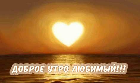 Открытки доброе утро любимый Открытка картинка с добрым утром любимый, мой любимый, дорогой Открытка картинка открытки картинки с добрым утром любимый, милый, пожелания доброго утра любимому человеку, открытка картинка доброе утро любимый мой, родной, дорогой