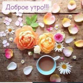Открытки с добрым утром! Открытка красивая с добрым утром, доброго утра, пожелания доброго утра Открытка картинка доброе утро, с добрым утром, картинки открытки доброго утра, доброе утро, яркие открытки картинки с добрым утром, доброе утро скачать бесплатно