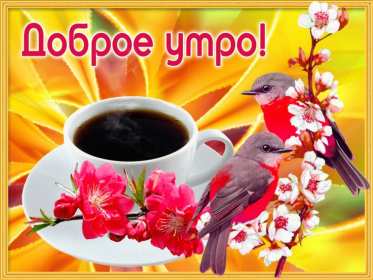 Открытки с добрым утром! Открытка красивая с добрым утром, доброго утра, пожелания с утра Открытка картинка доброе утро, открытки картинки с добрым утром, доброго утра, яркие картинки открытки доброе утро, пожелания доброго утра картинки скачать бесплатно