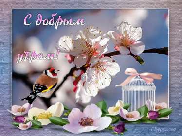 Открытки с добрым утром! Открытка красивая с добрым утром, доброго утра, пожелания с утра Открытка картинка доброе утро, открытки картинки с добрым утром, доброго утра, яркие картинки открытки доброе утро, пожелания доброго утра картинки скачать бесплатно