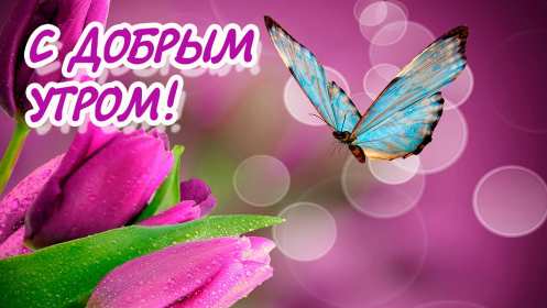 Открытки с добрым утром! Открытка красивая с добрым утром, доброго утра, пожелания с утра Открытка картинка доброе утро, открытки картинки с добрым утром, доброго утра, яркие картинки открытки доброе утро, пожелания доброго утра картинки скачать бесплатно