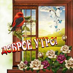Открытки с добрым утром! Открытка красивая с добрым утром, доброго утра, пожелания с утра Открытка картинка доброе утро, открытки картинки с добрым утром, доброго утра, яркие картинки открытки доброе утро, пожелания доброго утра картинки скачать бесплатно