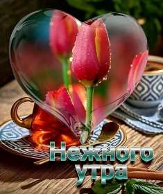 Открытки с добрым утром! Открытка красивая с добрым утром, доброго утра, пожелания с утра Открытка картинка доброе утро, открытки картинки с добрым утром, доброго утра, яркие картинки открытки доброе утро, пожелания доброго утра картинки скачать бесплатно