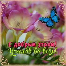 Открытки с добрым утром! Открытка красивая с добрым утром, доброго утра, пожелания с утра Открытка картинка доброе утро, открытки картинки с добрым утром, доброго утра, яркие картинки открытки доброе утро, пожелания доброго утра картинки скачать бесплатно