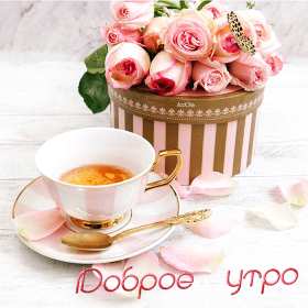 Открытки с добрым утром! Открытка красивая с добрым утром, доброго утра, пожелания с утра Открытка картинка доброе утро, открытки картинки с добрым утром, доброго утра, яркие картинки открытки доброе утро, пожелания доброго утра картинки скачать бесплатно