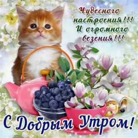 Открытки с добрым утром! Открытка красивая с добрым утром, пожелания доброго утра, утречка Открытки открытка картинки картинка доброе утра, доброго утра, с добрым утречком, яркие открытки доброе утро, с добрым утром, открытка картинка доброе утро, доброго утра, скачать