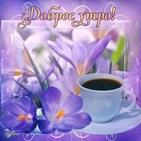 Открытки с добрым утром! Открытка красивая с добрым утром, пожелания доброго утра, утречка Открытки открытка картинки картинка доброе утра, доброго утра, с добрым утречком, яркие открытки доброе утро, с добрым утром, открытка картинка доброе утро, доброго утра, скачать