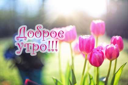 Открытки доброе весеннее утро Открытка с добрым весенним утром, пожелания доброго весеннего утра Открытка картинка открытки картинки с пожеланиями доброго утра весеннего, доброе весеннее утро, с добрым весенним утром, открытка картинка доброе весеннее утро скачать