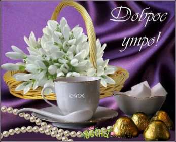 Открытки доброе весеннее утро Открытка с добрым весенним утром, пожелания доброго весеннего утра Открытка картинка открытки картинки с пожеланиями доброго утра весеннего, доброе весеннее утро, с добрым весенним утром, открытка картинка доброе весеннее утро скачать