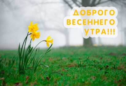 Открытки доброе весеннее утро Открытка с добрым весенним утром, пожелания доброго весеннего утра Открытка картинка открытки картинки с пожеланиями доброго утра весеннего, доброе весеннее утро, с добрым весенним утром, открытка картинка доброе весеннее утро скачать