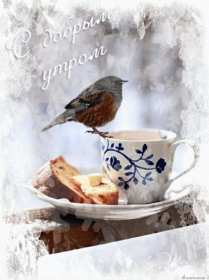 Открытка! Открытка с добрым зимним утром, пожелания доброго зимнего утра