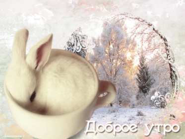 Открытки доброе зимнее утро Открытка с добрым зимним утром, пожелания доброго зимнего утра Открытка картинка открытки картинки доброе зимнее утро, доброго зимнего утра, утречка, пожелания с добрым зимним утром, доброе утро зимы открытка картинка скачать бесплатно