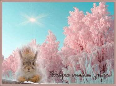 Открытки доброе зимнее утро Открытка с добрым зимним утром, пожелания доброго зимнего утра Открытка картинка открытки картинки доброе зимнее утро, доброго зимнего утра, утречка, пожелания с добрым зимним утром, доброе утро зимы открытка картинка скачать бесплатно