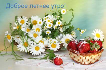Открытки доброе летнее утро Открытка с добрым летним утром, пожелания доброго летнего утра Открытка картинка открытки картинки с пожеланиями доброго утра, доброго летнего утра, красивая открытка картинка с добрым летним утром, лето доброе утро скачать бесплатно