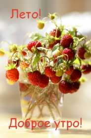 Открытки доброе летнее утро Открытка с добрым летним утром, пожелания доброго летнего утра Открытка картинка открытки картинки с пожеланиями доброго утра, доброго летнего утра, красивая открытка картинка с добрым летним утром, лето доброе утро скачать бесплатно